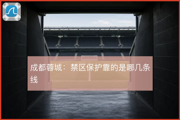 成都蓉城:禁区保护靠的是哪几条线